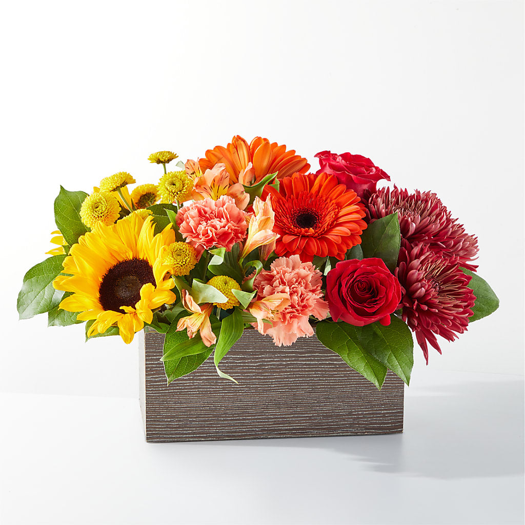 Autumn Orchard Box