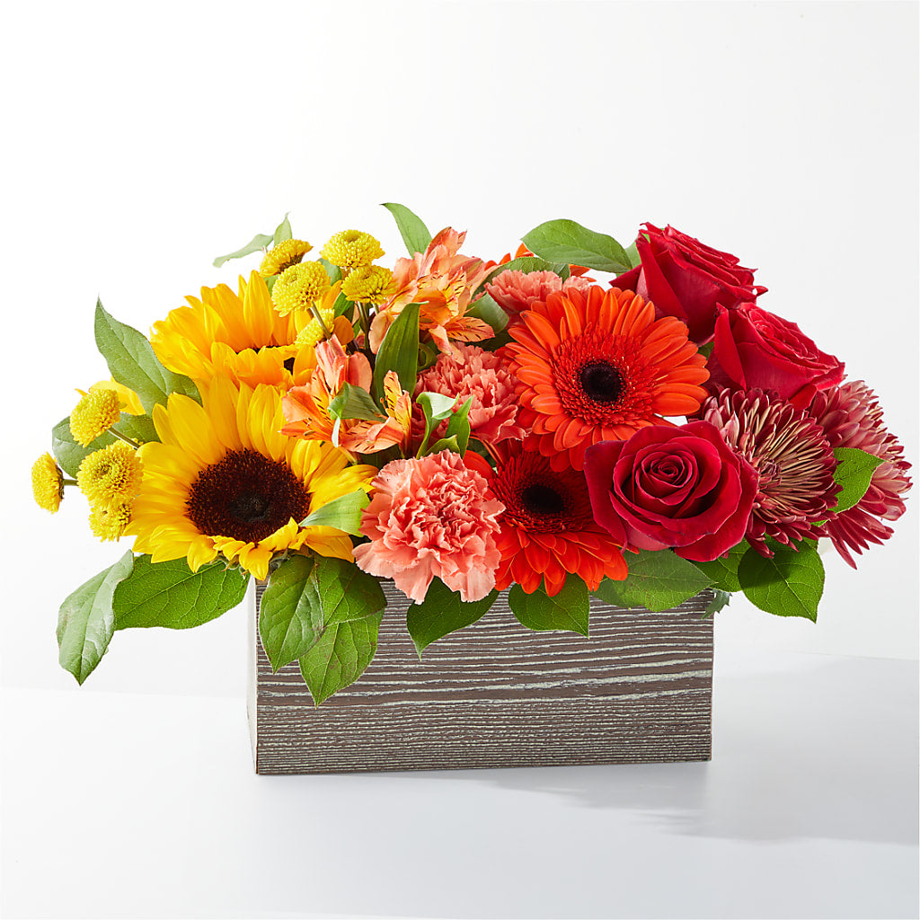 Autumn Orchard Box