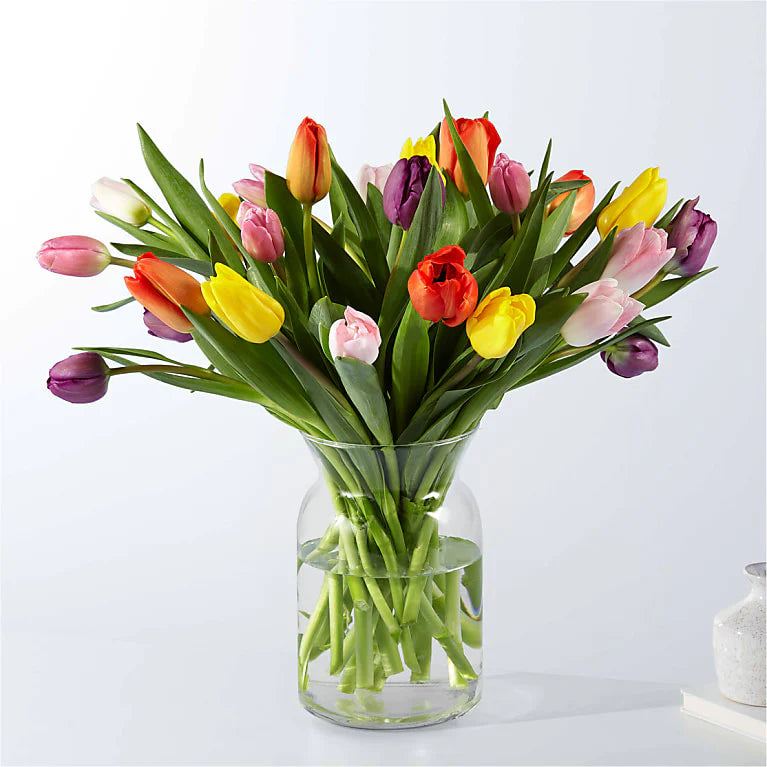 Pícnic Tulips