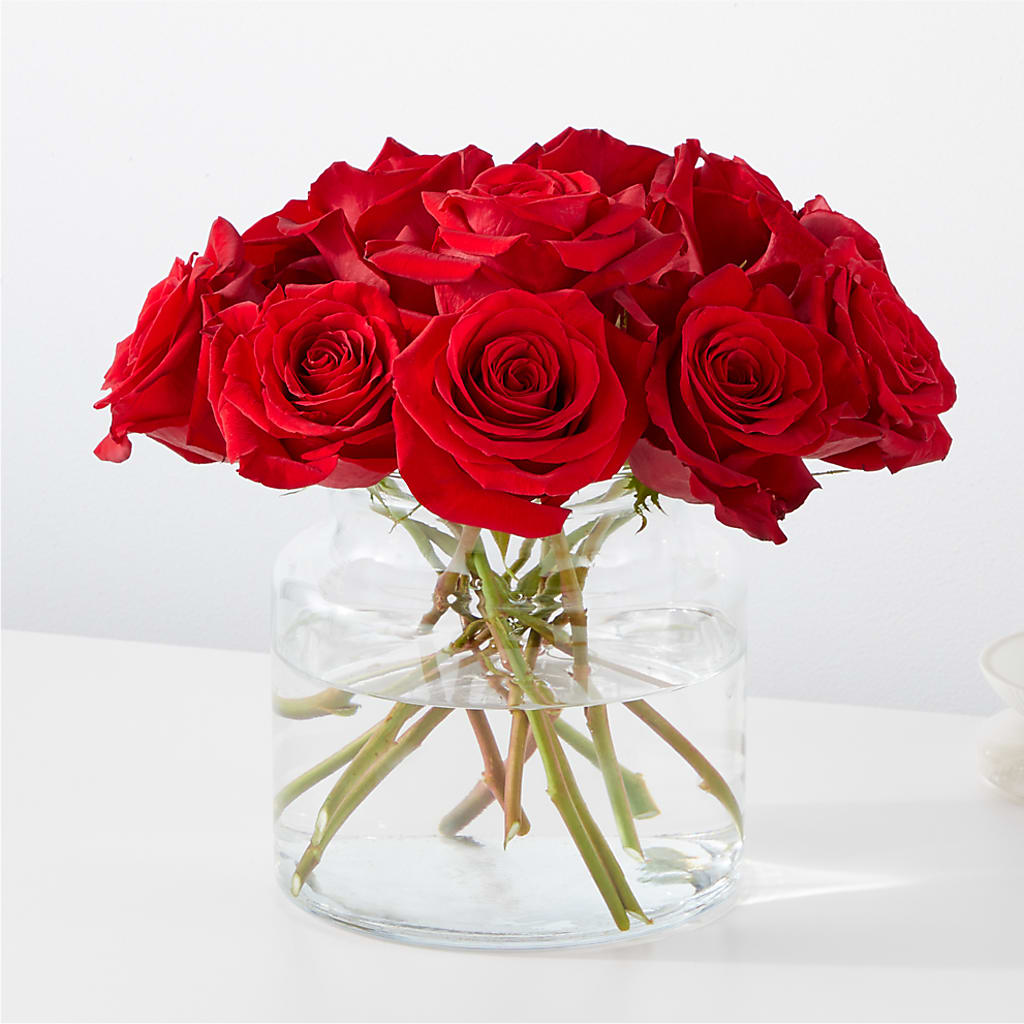 Cupid's Embrace Red Rose