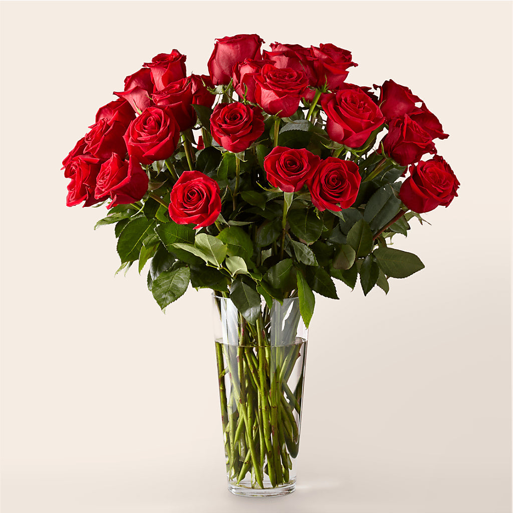 Long Stem Red Rose Bouquet