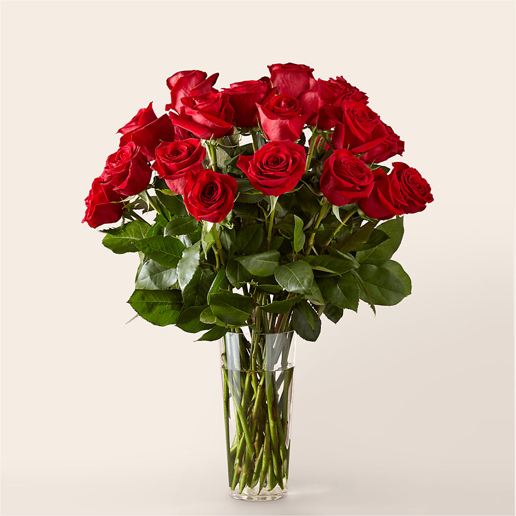 Long Stem Red Rose Bouquet