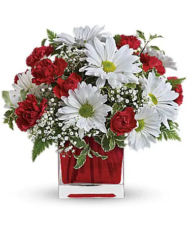RED AND WHITE DELIGHT BY FLORAL ARTE