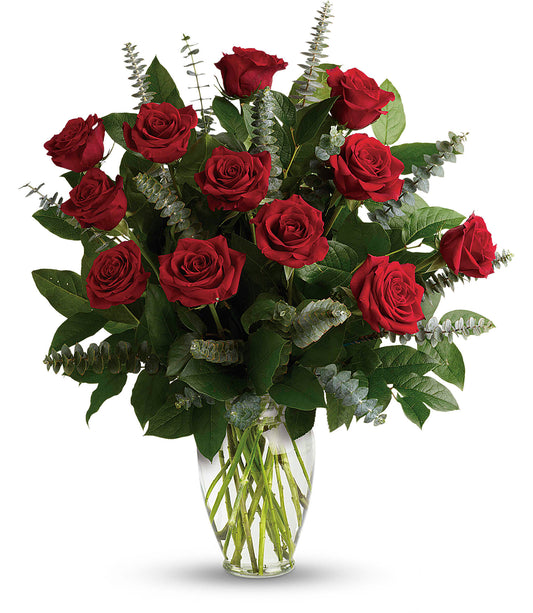 Elegant Red Roses