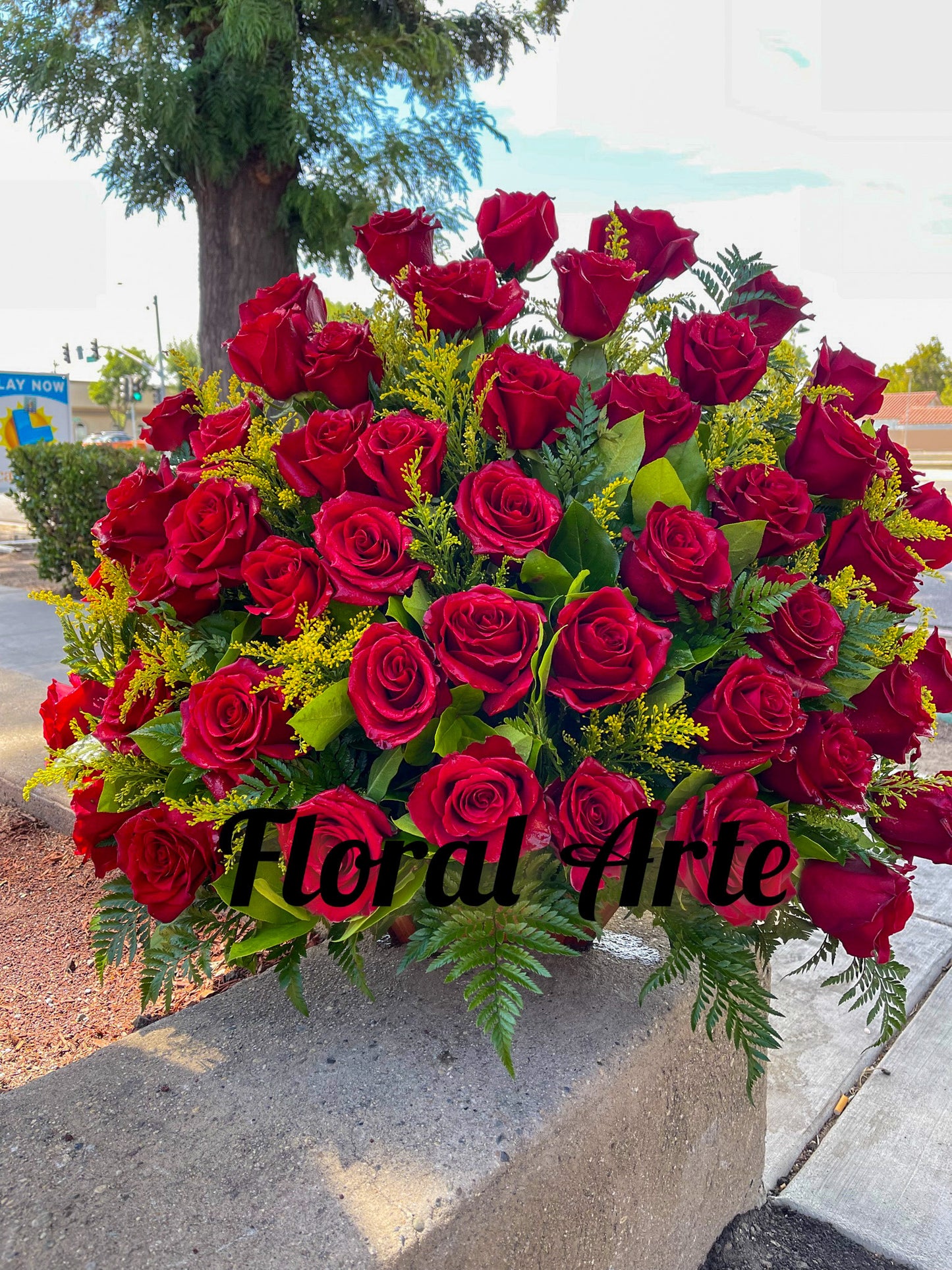 Fascinating Red Roses