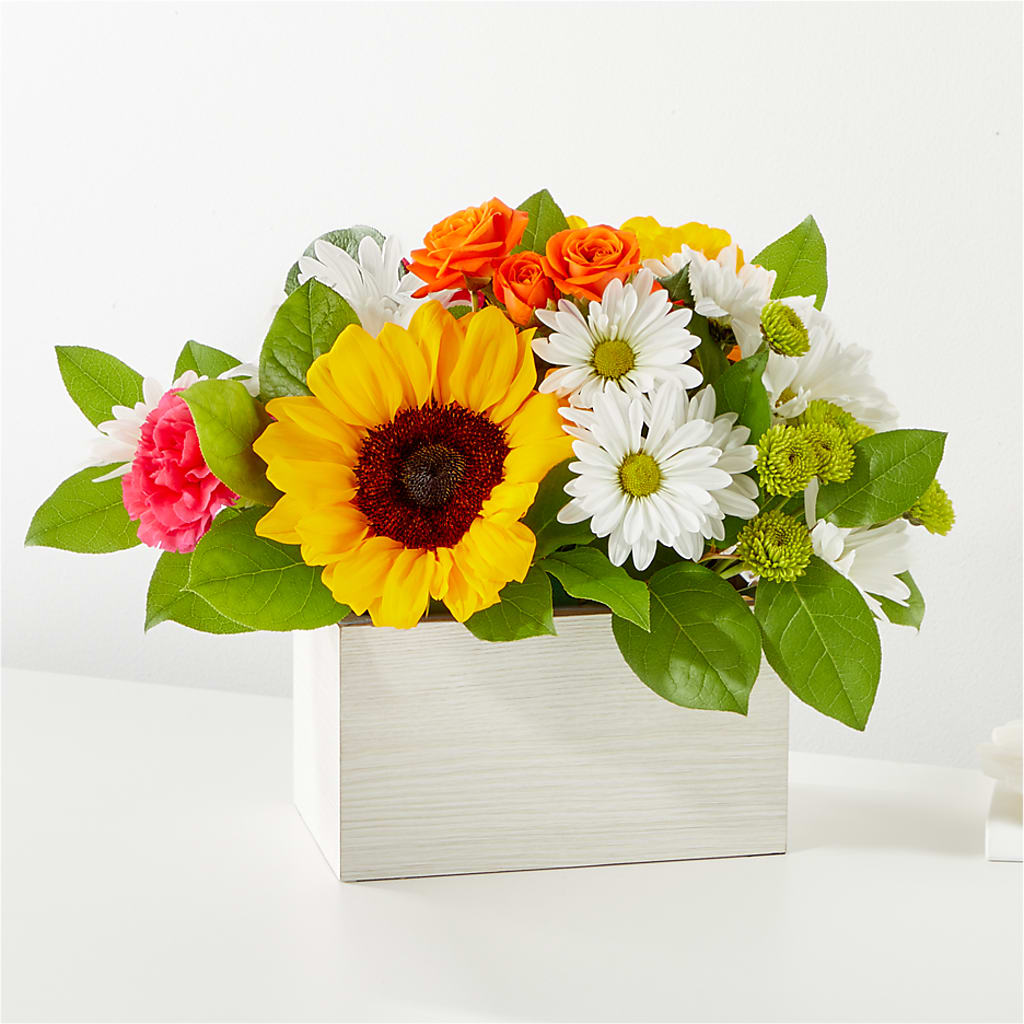 Sun-Drenched Blooms Box