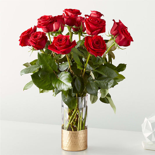 Classic Love Red Roses